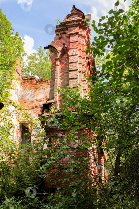 Скачать Руины древнего монастыря. фотосток Ozero