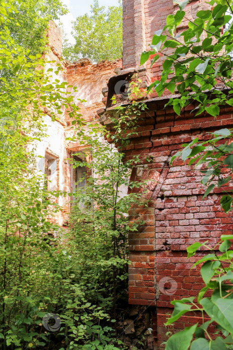 Скачать Кирпичная стена в лесу. фотосток Ozero