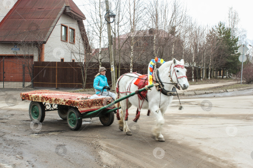 Скачать Конный экипаж на улице. фотосток Ozero