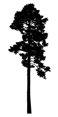 [object Object] undefined