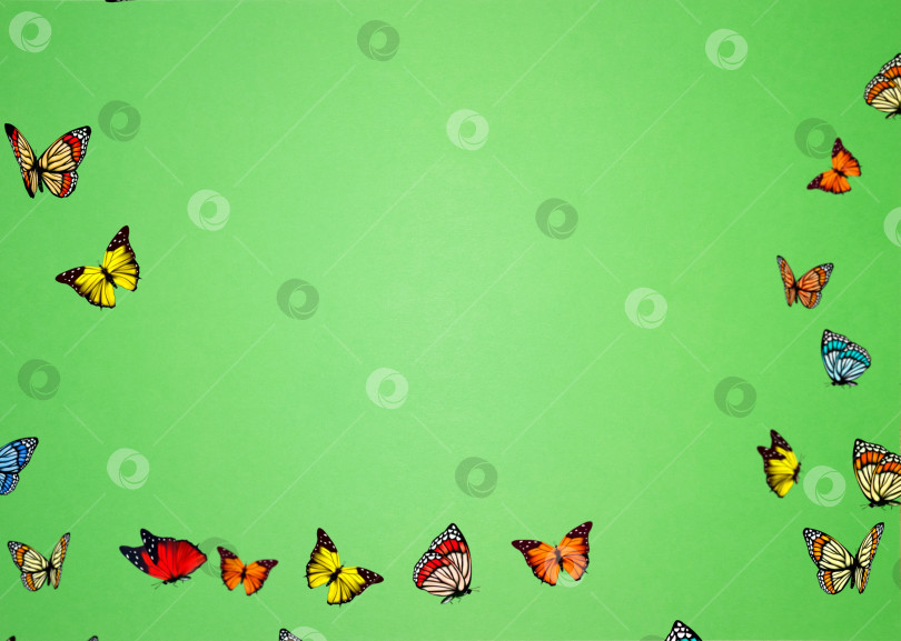 Скачать Абстрактный фон, разноцветные бабочки на зеленом фоне. фотосток Ozero