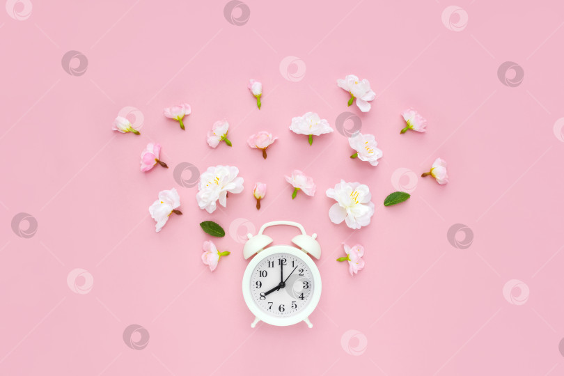 Скачать Белый будильник украшен весенними цветами на розовом фоне. Концепция летнего времени. Планировка, вид сверху фотосток Ozero