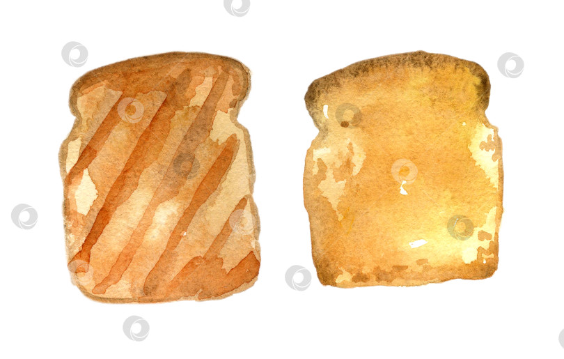 Скачать Акварельный набор тостов. Нарисованная от руки иллюстрация, выделенная на белом фоне фотосток Ozero