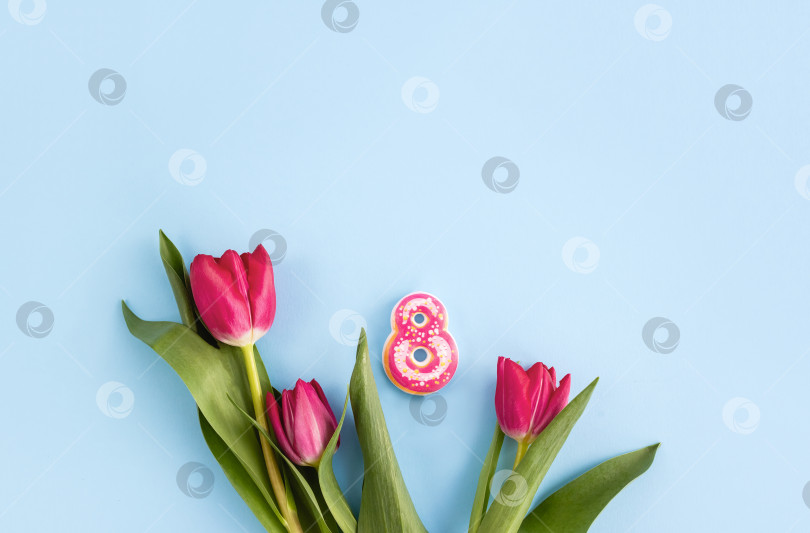 Скачать Красные тюльпаны и сладкий пончик в форме цифры восемь на синем фоне. Международный женский день. Минимальная концепция для 8 марта. Праздничная открытка, место для копирования фотосток Ozero