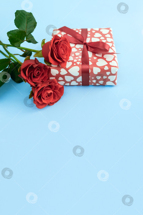 Скачать Розы и подарочная коробка, украшенные сердечками на синем фоне. Концепция подарка на день рождения или день святого Валентина. Вертикальная карточка, выборочный фокус, пространство для копирования фотосток Ozero