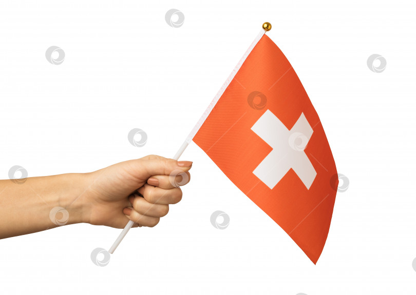Скачать Женская рука, держащая швейцарский флаг, изолированный на белом фоне, шаблон для дизайнеров фотосток Ozero