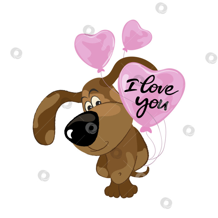 Скачать Симпатичная собачка держит за спиной розовые воздушные шарики с надписью: Я люблю тебя. Подарок на День Святого Валентина. фотосток Ozero