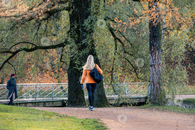 Скачать Осенние прогулки по парку. Стройная блондинка в оранжевой куртке идет по аллее. Вид со спины. фотосток Ozero