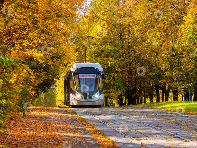 Скачать Трамвай едет по осеннему туннелю. Трамвайные рельсы в коридоре из желтых осенних деревьев в Москве. фотосток Ozero