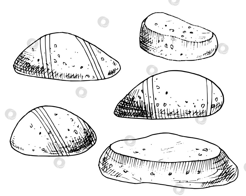 Скачать Набор векторных морских камней. Нарисованная от руки иллюстрация с галькой на изолированном белом фоне в контурном стиле. Рисунок полосатых гладких океанических скал. Набросок подводных минералов, выполненный черными чернилами фотосток Ozero