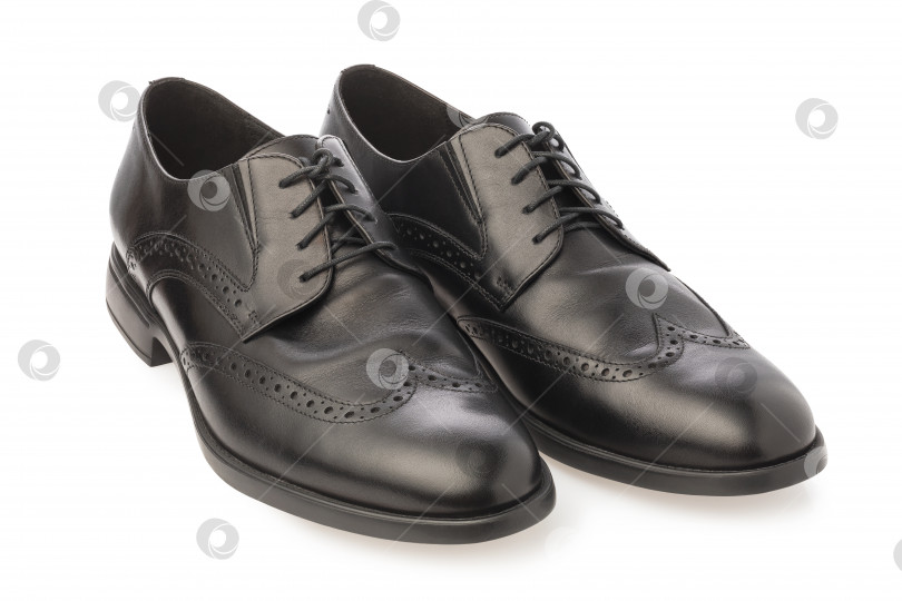 Скачать Классические кожаные мужские туфли черного цвета, выделенные на белом фоне фотосток Ozero