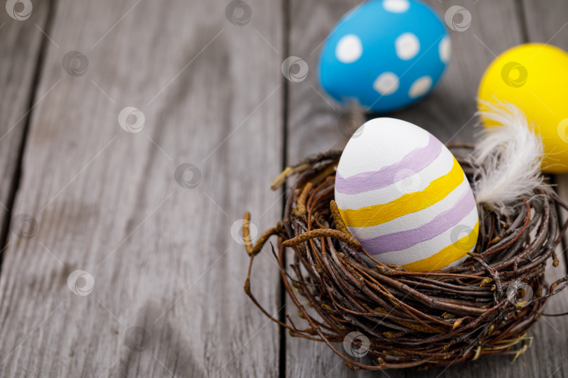 Скачать Раскрашенное куриное яйцо в гнезде из березовых веток с местом для текста фотосток Ozero