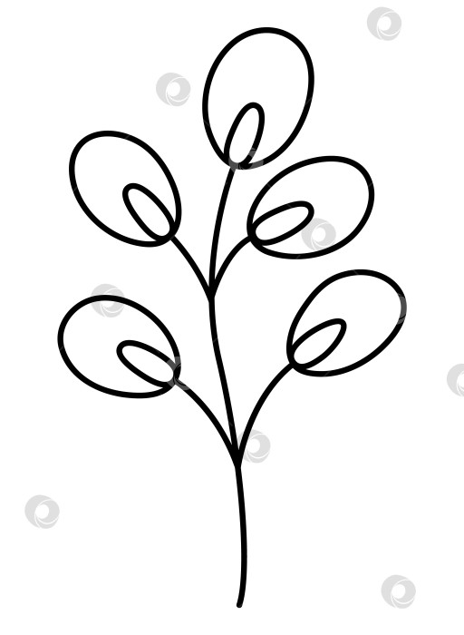 Скачать Векторная черно-белая иллюстрация pussy willow brunch, изолированная на белом фоне. Традиционный символ Пасхи и элемент дизайна. Симпатичная мультяшная весенняя иконка на картинке или раскраске фотосток Ozero