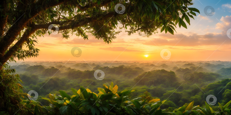 Скачать Тропический пейзаж на закате фотосток Ozero