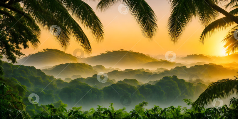 Скачать Тропический пейзаж на закате фотосток Ozero