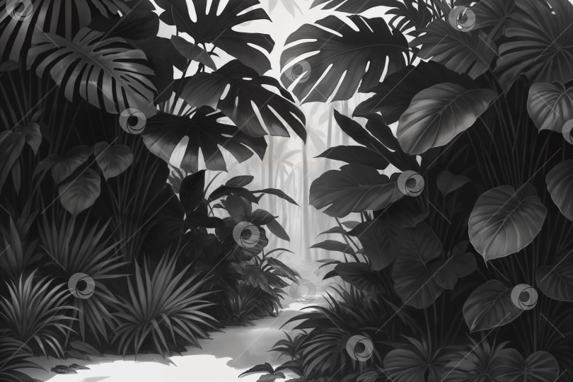 Скачать Иллюстрация джунглей в оттенках серого фотосток Ozero