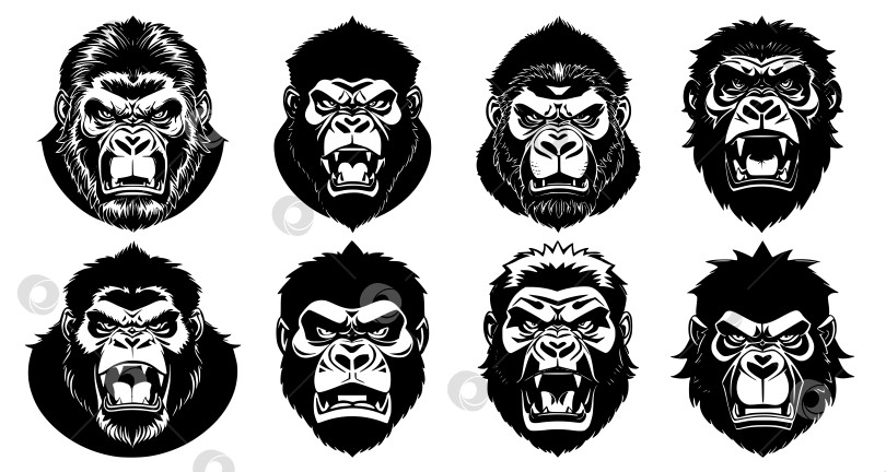 Скачать Набор татуировок или логотипов в виде голов горилл фотосток Ozero