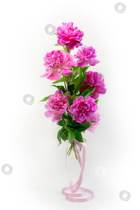 Скачать Букет из свежих розовых пионов. фотосток Ozero