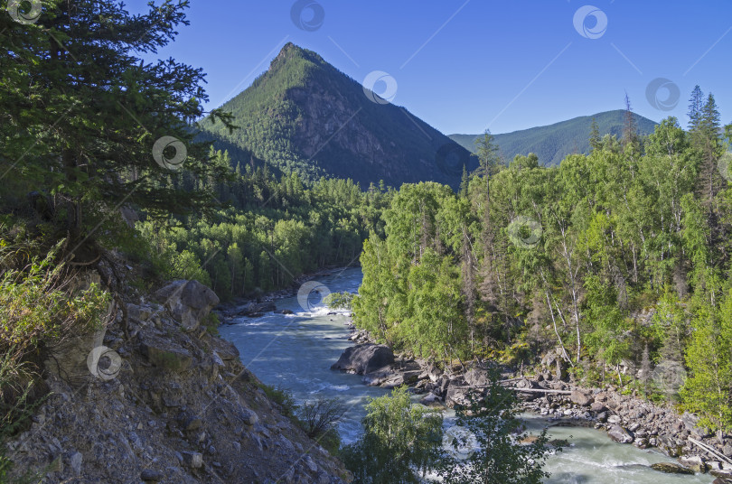 Скачать Горная река ранним утром. фотосток Ozero