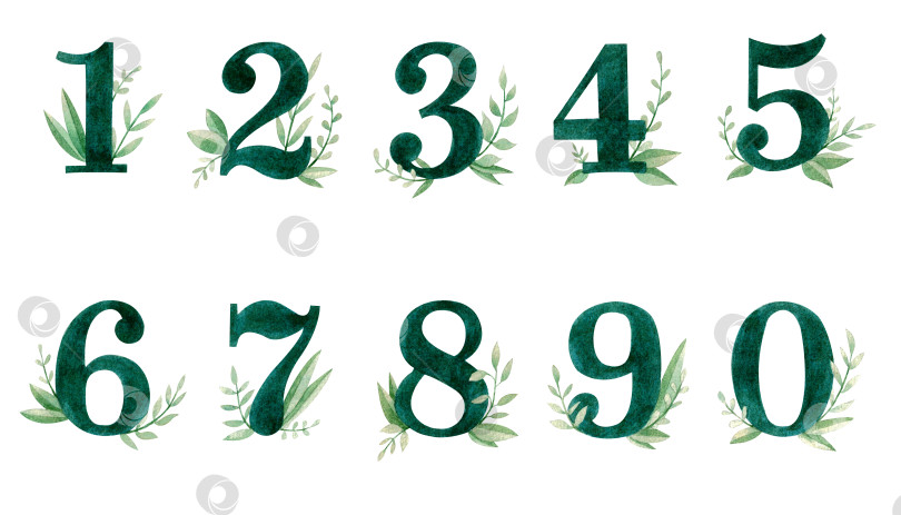 Скачать Набор с зелеными цифрами с листьями и ветками. фотосток Ozero