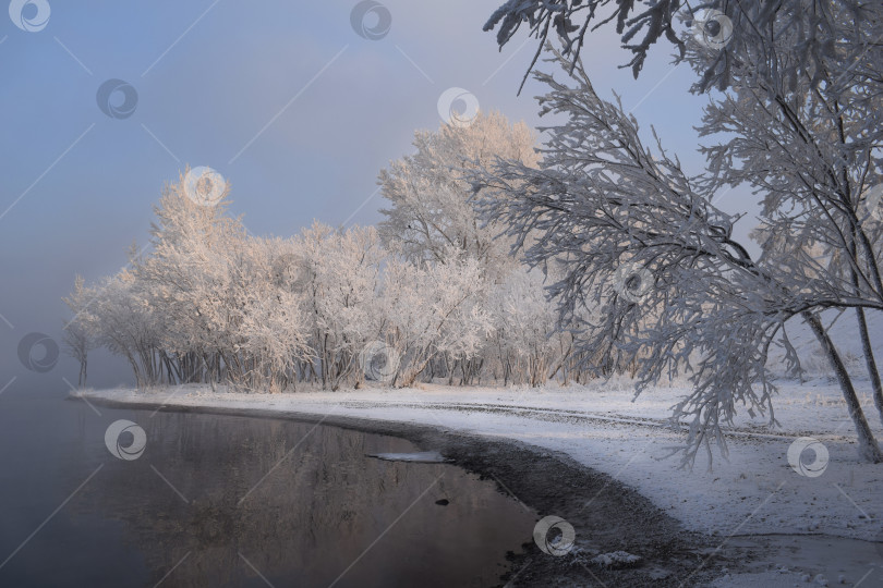 Скачать Деревья в инее на берегу зимней реки фотосток Ozero