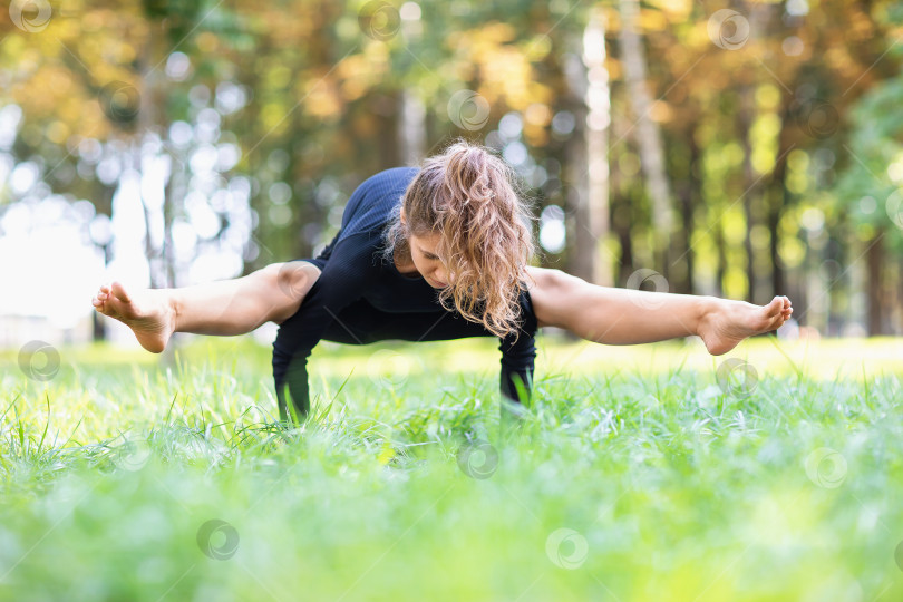 Скачать Женщина в спортивной черной одежде, практикующая йогу, выполняющая упражнение титтибхасана, поза кузнечика, асана равновесия на руках, тренирующаяся теплым летним утром в парке фотосток Ozero