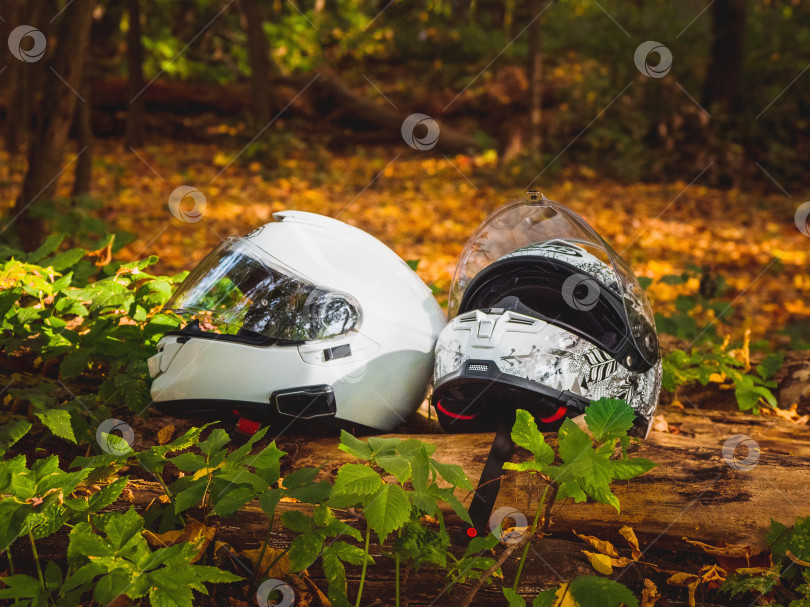 Скачать Два белых мотоциклетных шлема лежат рядом на пне в осеннем лесу. фотосток Ozero