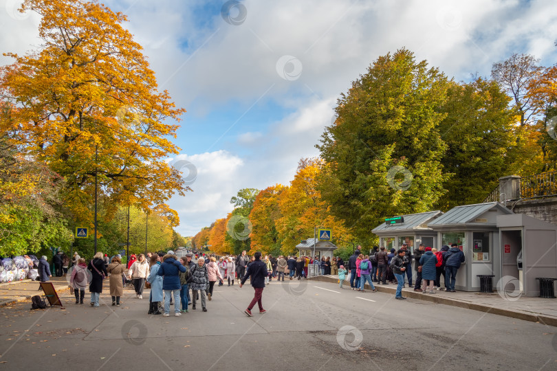 Скачать Туристы толпятся у билетной кассы у входа в парк при Екатерининском дворце. фотосток Ozero