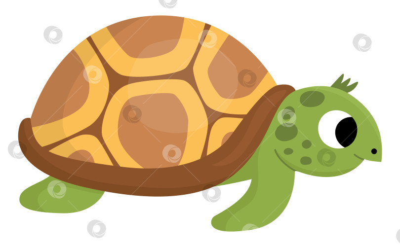 Скачать Векторный значок черепахи. Иллюстрация "Под водой" с милым забавным океанским животным. Мультяшный клипарт с подводной или морской черепахой для детей, изолированный на белом фоне фотосток Ozero