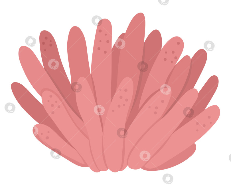 Скачать Векторный значок розового морского анемона. Иллюстрация "Под водой" с милыми морскими водорослями актиниями. Клипарт океанического растения. Мультяшный подводный или морской клип-арт для детей, изолированный на белом фоне фотосток Ozero