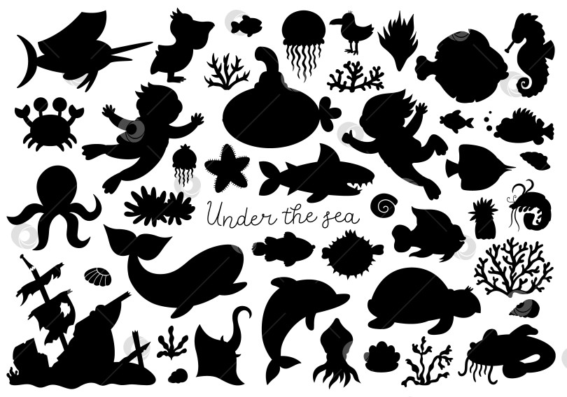 Скачать Вектор под набором морских силуэтов. Коллекция иконок Ocean black с забавными морскими водорослями, рыбками, дайверами, подводной лодкой. Милые иллюстрации теней водных животных и водорослей с дельфином, китом, черепахой фотосток Ozero