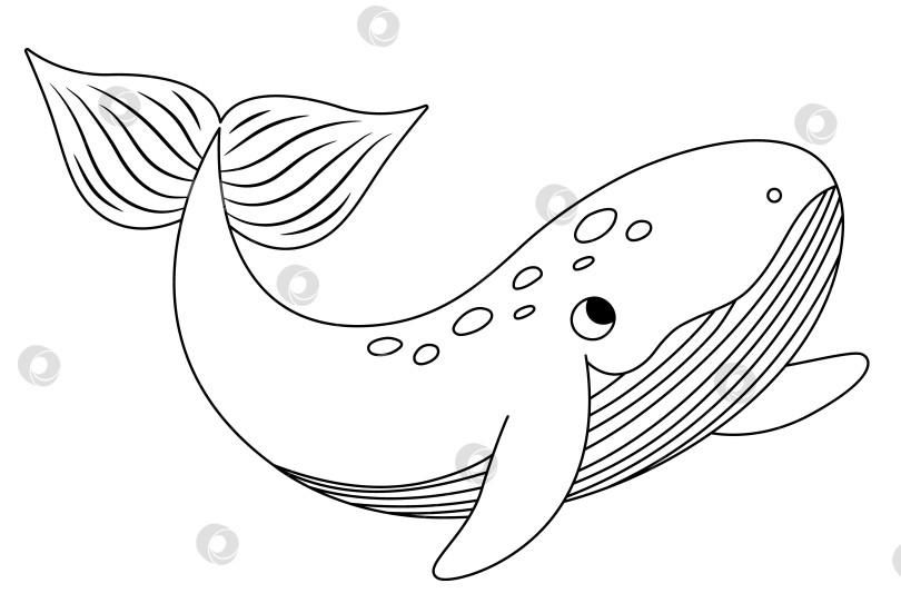 Скачать Векторный значок черно-белого кита. Иллюстрация под линией моря с милыми забавными рыбками. Клипарт с изображением океанских животных. Мультяшная подводная или морская раскраска для детей, изолированная на белом фоне фотосток Ozero