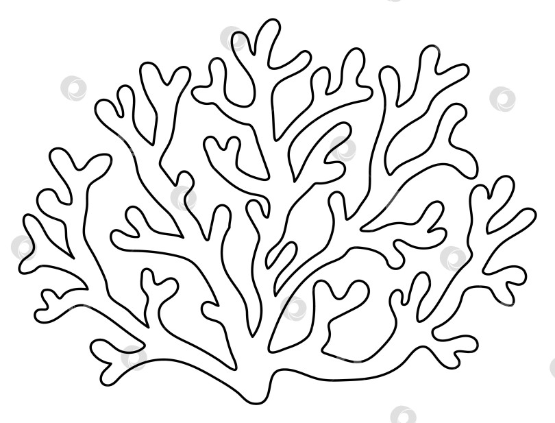 Скачать Векторный черно-белый коралловый значок. Под иллюстрацией морской линии с милыми морскими водорослями. Клипарт океанического растения. Мультяшный подводный или морской клип-арт или раскраска для детей фотосток Ozero