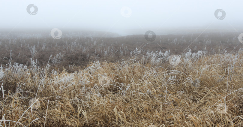 Скачать Морозная туманная даль. фотосток Ozero