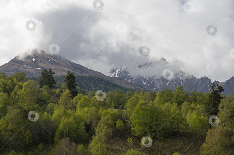 Скачать Две горные вершины в облаках. фотосток Ozero