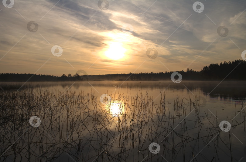 Скачать Утро на озере фотосток Ozero