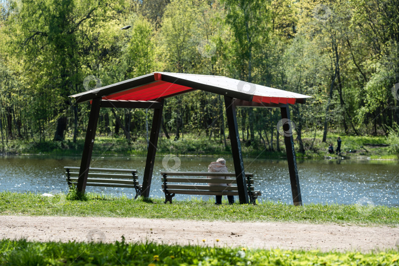 Скачать Беседка в парке на берегу озера и отдыхающий человек со спины. фотосток Ozero
