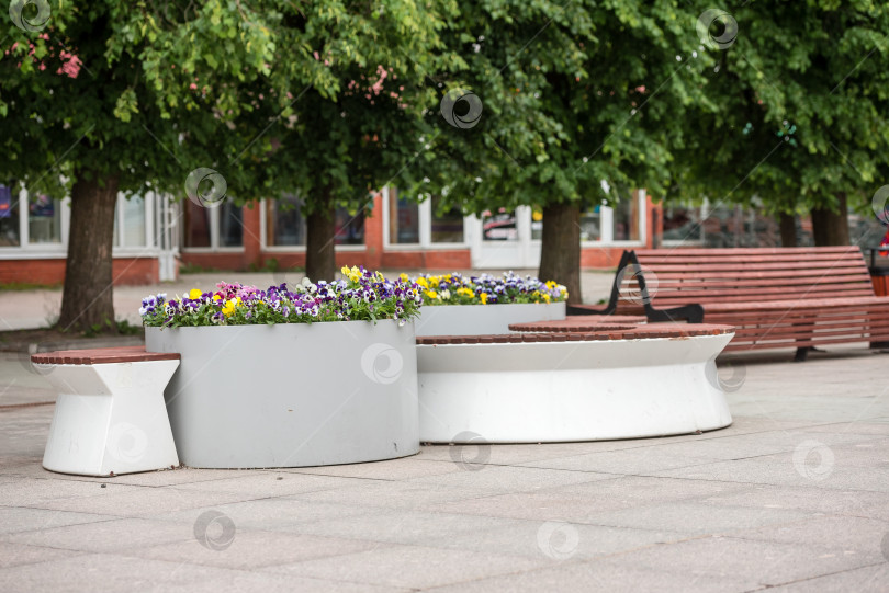 Скачать Пустая городская площадь со скамейкой и цветочными клумбами фотосток Ozero