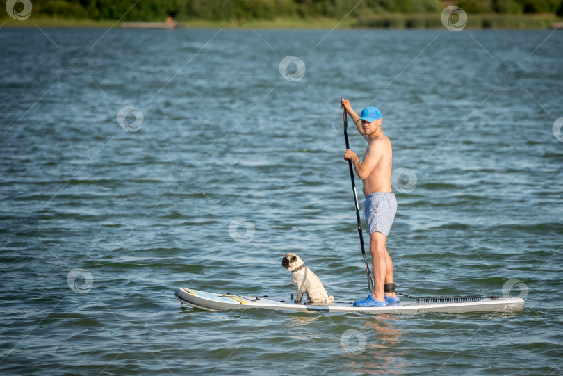 Скачать Молодой человек на доске с собакой плавает по озеру фотосток Ozero