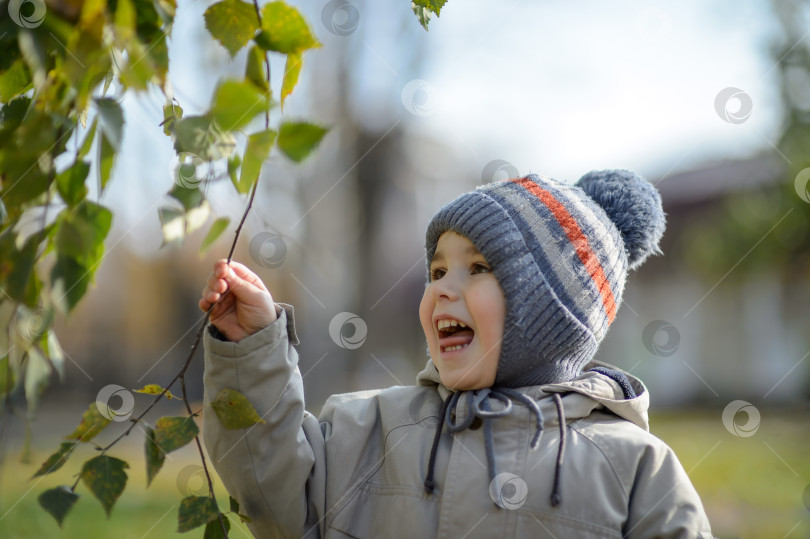 Скачать Маленький мальчик 3-х лет смеется в парке под ветвями дерева фотосток Ozero