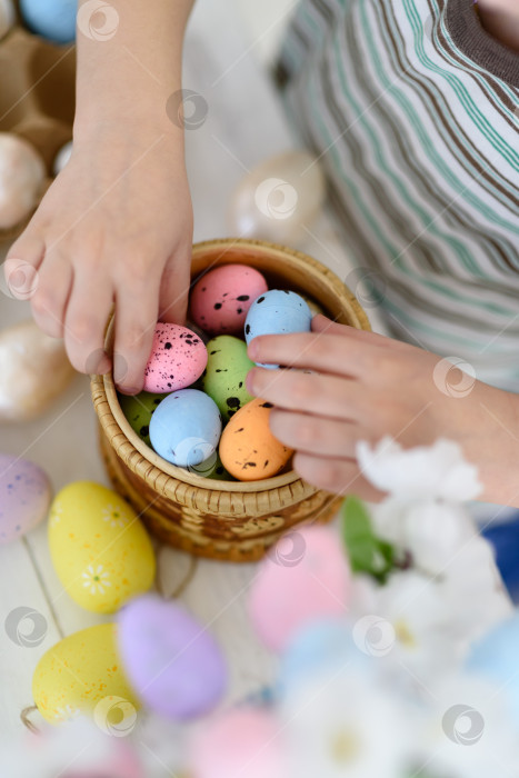 Скачать Пасхальные яйца детскими руками складывают в корзинку фотосток Ozero