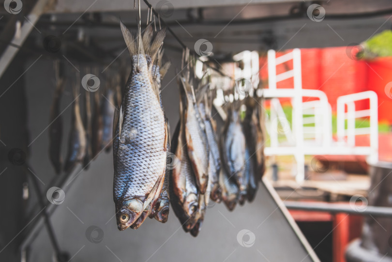 Скачать Рыба висит сушиться на веревке фотосток Ozero