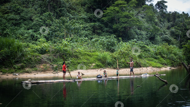 Скачать a river in a tropical jungle, a green array, ferns, palm trees, sunlight, local people, 	река в тропических джунглях, зеленый массив, папоротники, пальмы, солнечный свет, местные жители фотосток Ozero