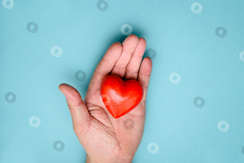 Скачать Красное сердце в руке на синем фоне, вид сверху. Концепция здоровья, донорства и благотворительности. фотосток Ozero