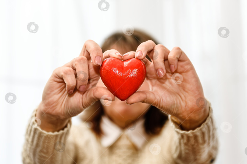 Скачать Красное сердце в женских руках крупным планом. фотосток Ozero
