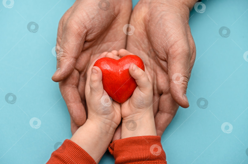Скачать Красное сердце в руках отца и ребенка. день святого Валентина. День матери. Любовь и забота . фотосток Ozero