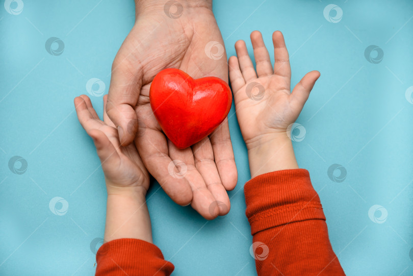 Скачать Красное сердечко передается взрослой рукой в детские руки. концепция дарения любви и заботы. фотосток Ozero