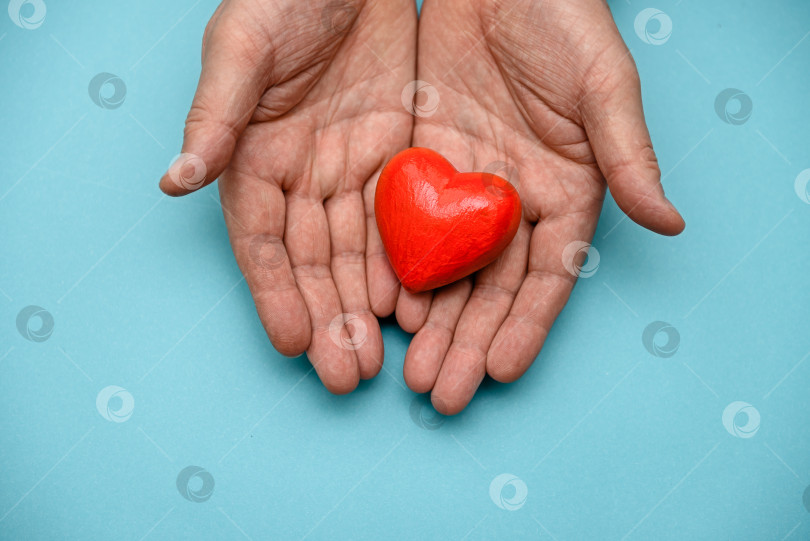 Скачать Красное сердце в руке на синем фоне, вид сверху. Концепция здоровья, донорства и благотворительности. фотосток Ozero
