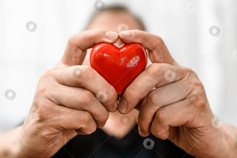 Скачать Красное сердце в руке мужчины крупным планом. фотосток Ozero
