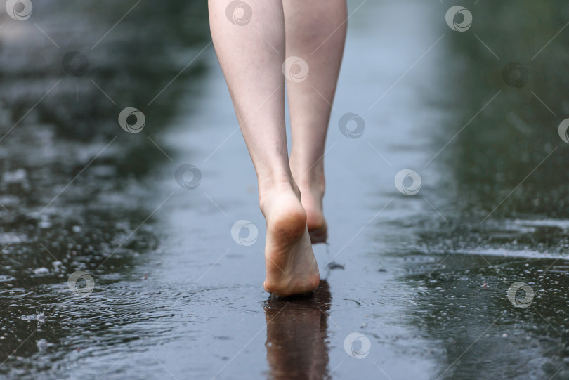 Скачать Элегантные женские босые ножки ступают по лужам фотосток Ozero
